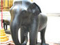 象の置物